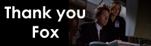 Thank you fox