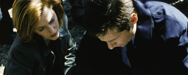 #7X04 Millennium