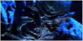 #3X14 Grotesque